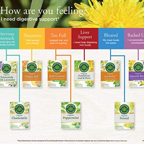 Traditional Medicinals Organic Peppermint Herbal Leaf Tea, Allevi...