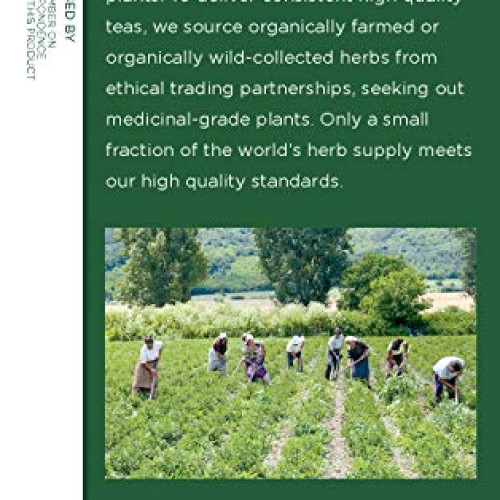 Traditional Medicinals Organic Peppermint Herbal Leaf Tea, Allevi...