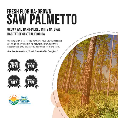 Saw Palmetto Extract – 10X Potency, Pharmaceutical Grade Strength...