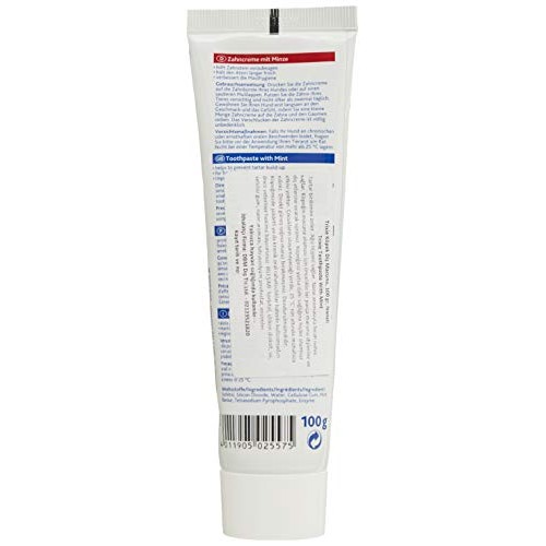 TRIXIE Mint Toothpaste for Dog, 100 G