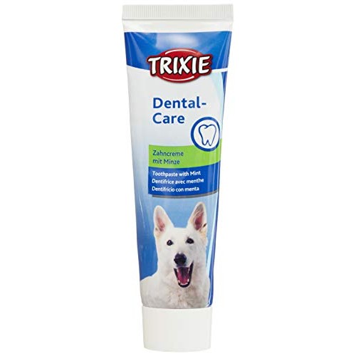 TRIXIE Mint Toothpaste for Dog, 100 G