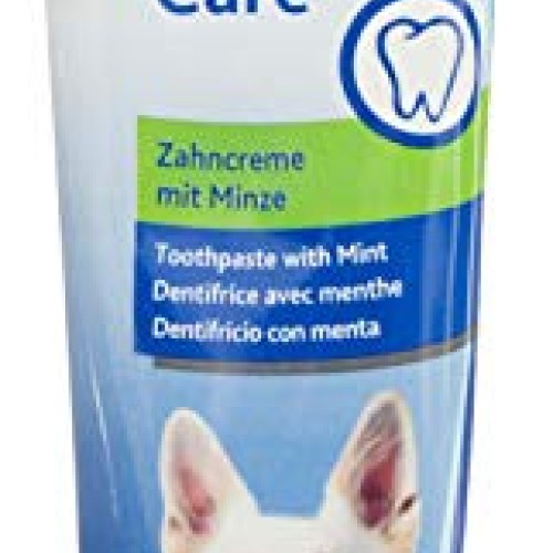 TRIXIE Mint Toothpaste for Dog, 100 G