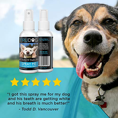 Dog Breath Freshener - Spray Me: Doggy Dental Spray 4Oz - All N...