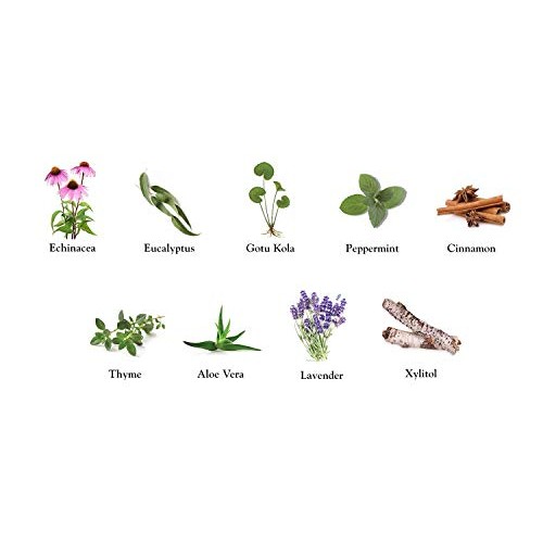 Dental Herb Company - Under the Gums Irrigant with Measuring Dropper