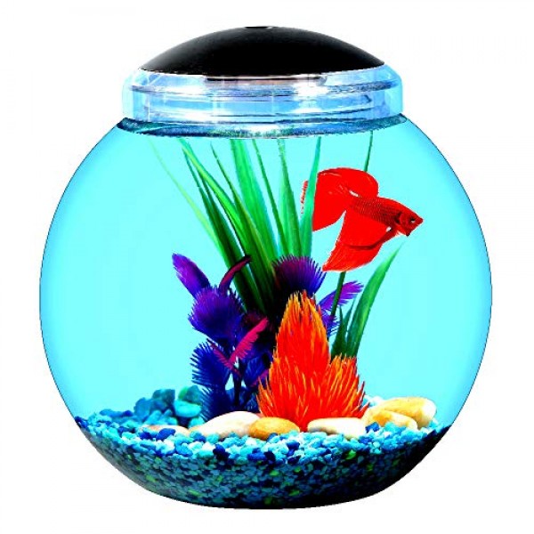 1 Gallon Globe Fish Bowl with LED Light Made of Break-Resistant P...