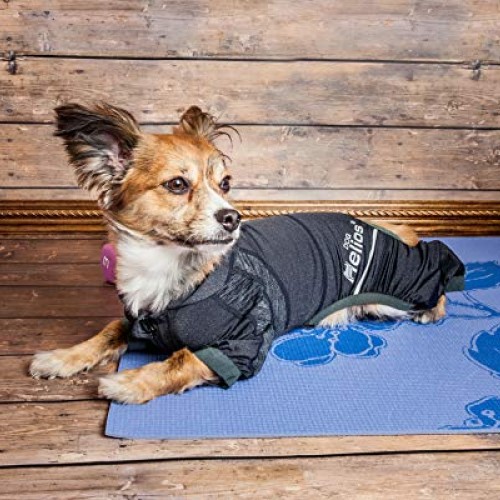 Dog Helios Namastail Lightweight 4-Way Stretch Breathable Full ...