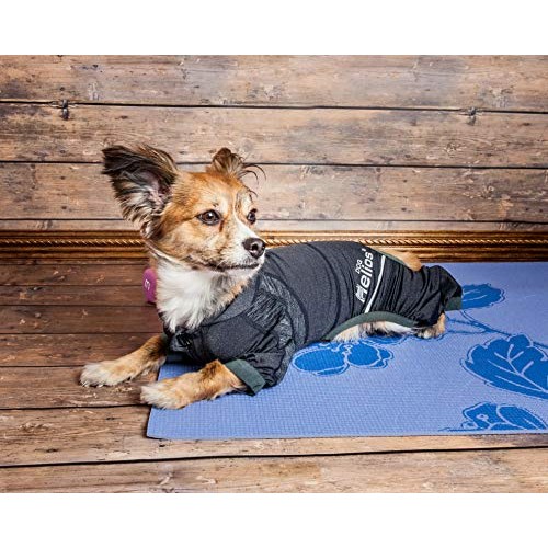 Dog Helios Namastail Lightweight 4-Way Stretch Breathable Full ...