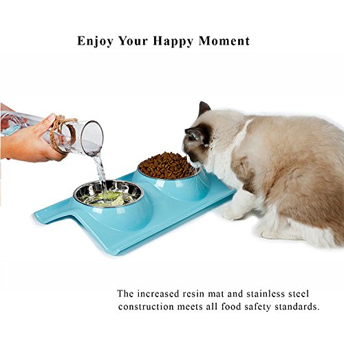 UPSKY Double Dog Cat Bowls Premium Stainless Steel Pet Bowls No-S...