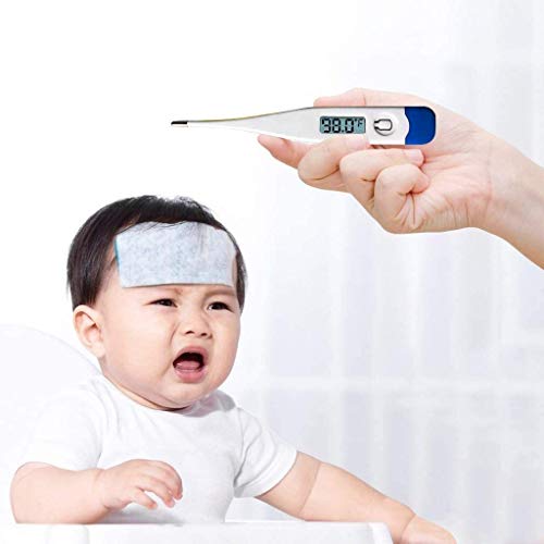Basal Body Thermometer - Waterproof, Highly Accurate 1/100th Degr...
