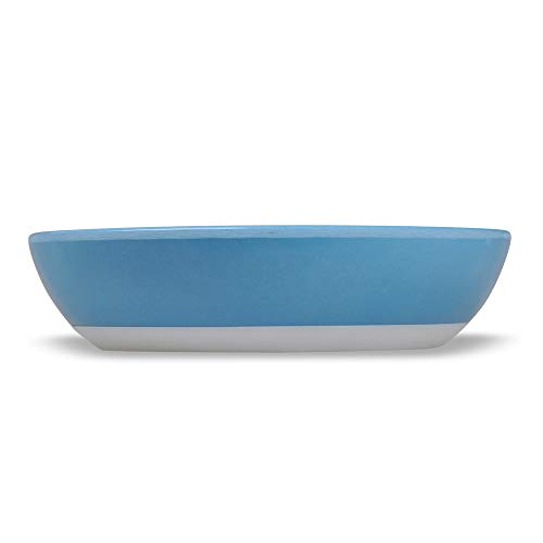 Van Ness ECOWARE Cat Dish,Pacific Blue, 8 Ounce, Single Dish ECW...