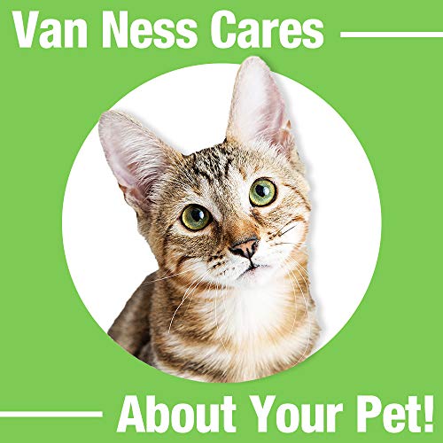 Van Ness - Ecoware Double Cat Dish, Renewable & Sustainable Bambo...