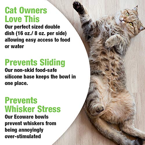 Van Ness - Ecoware Double Cat Dish, Renewable & Sustainable Bambo...