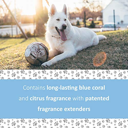 Veterinary Formula Solutions Snow White Shampoo for Dogs and Cats...