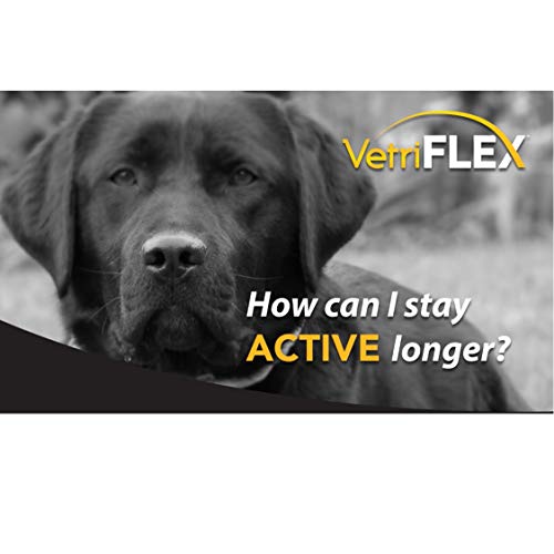 VetriScience VetriFlex for Cats and Dogs of all Weight Ranges - V...