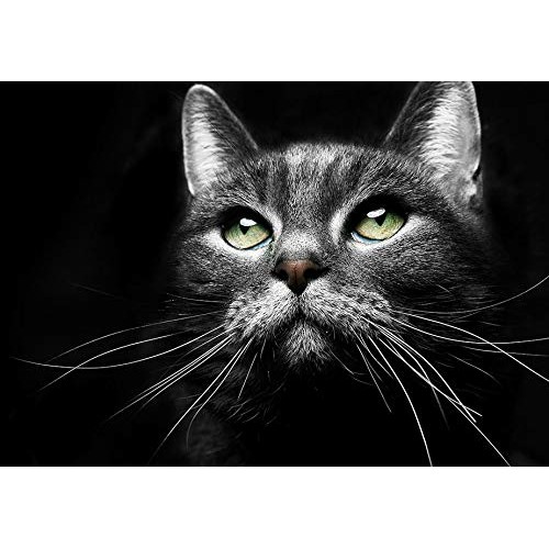 VetriScience VetriFlex for Cats and Dogs of all Weight Ranges - V...