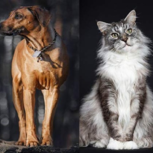 VetriScience VetriFlex for Cats and Dogs of all Weight Ranges - V...