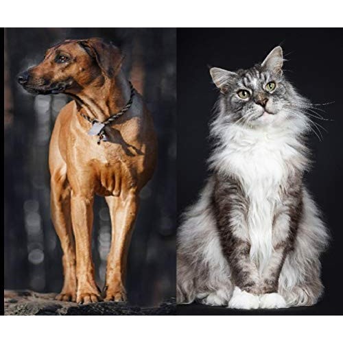 VetriScience VetriFlex for Cats and Dogs of all Weight Ranges - V...