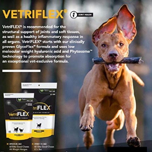 VetriScience VetriFlex for Cats and Dogs of all Weight Ranges - V...
