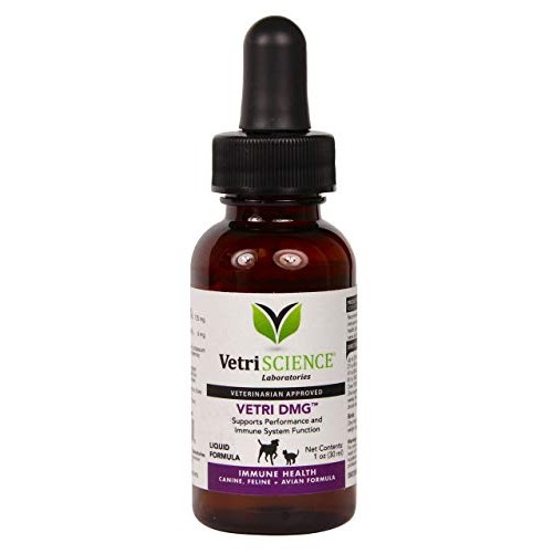 Vetri-Science Vetri-DMG Liquid 30 ml by VetriScience Laboratories