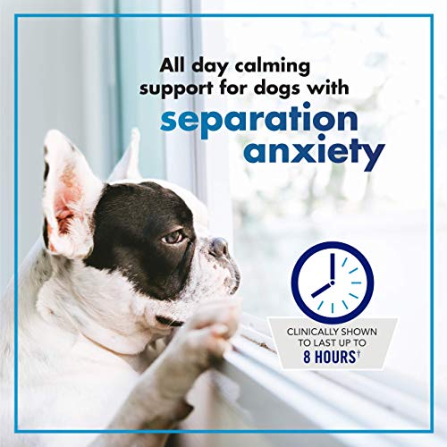 VetriScience - Composure, Calming Supplement for Dogs Dealing wit...