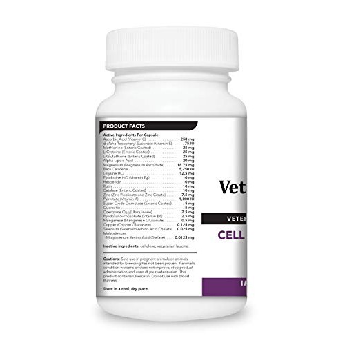VetriScience Laboratories Cell Advance 880, 120 Capsules - Immune...