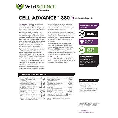 VetriScience Laboratories Cell Advance 880, 120 Capsules - Immune...