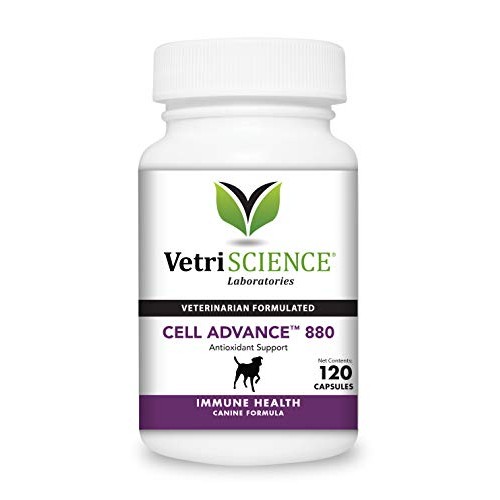 VetriScience Laboratories Cell Advance 880, 120 Capsules - Immune...