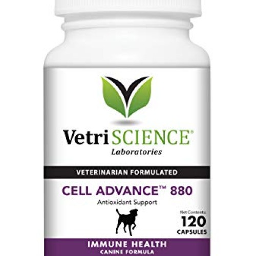 VetriScience Laboratories Cell Advance 880, 120 Capsules - Immune...