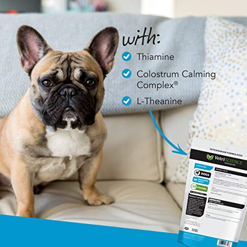 VetriScience Laboratories - Composure Mini for Small Breeds, Calm...