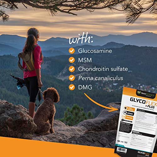 VetriScience Laboratories GlycoFlex Plus, Hip and Joint Supplemen...