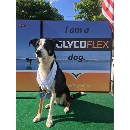 VetriScience Laboratories GlycoFlex Plus, Hip and Joint Supplemen...