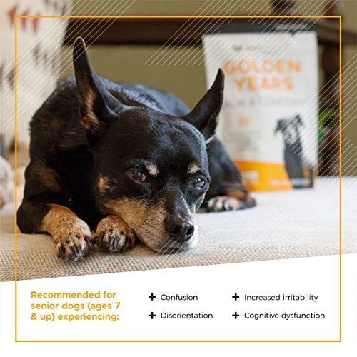 VetriScience Laboratories Golden Years Calm and Confident for Dog...