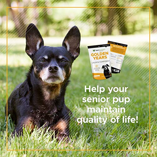 VetriScience Laboratories Golden Years Calm and Confident for Dog...