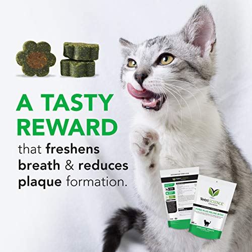 VetriScience Laboratories – Perio Plus Feline Bites, Dental Crunc...