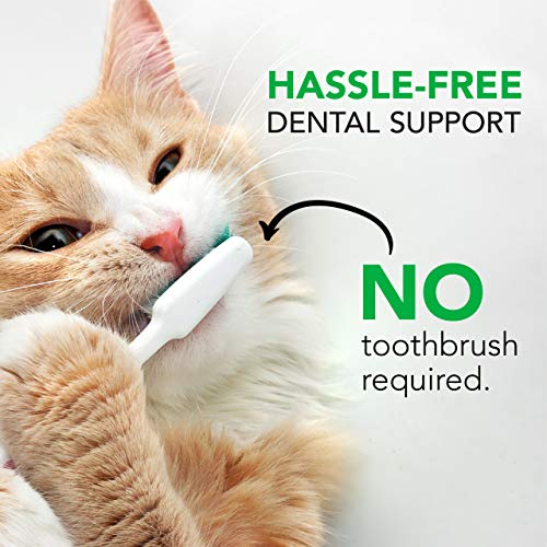 VetriScience Laboratories – Perio Plus Feline Bites, Dental Crunc...