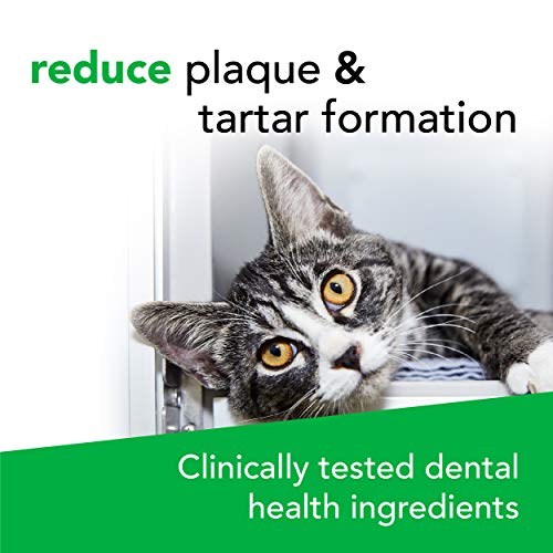 VetriScience Laboratories – Perio Plus Feline Bites, Dental Crunc...