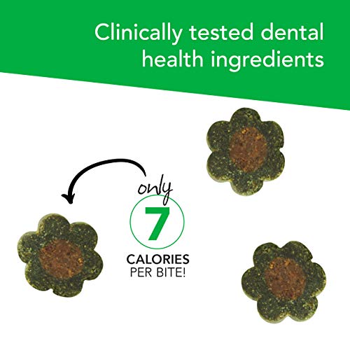 VetriScience Laboratories – Perio Plus Feline Bites, Dental Crunc...