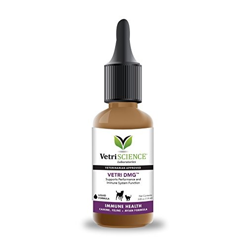VetriScience Laboratories Vetri-DMG 125 mg, 3.85-Ounce