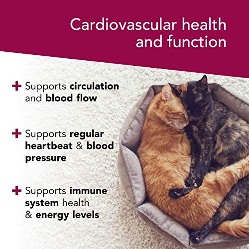 VETRISCIENCE Laboratories Cardio Strength, 120 Capsules - Support...
