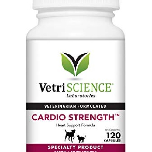 VETRISCIENCE Laboratories Cardio Strength, 120 Capsules - Support...