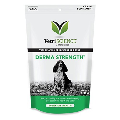 VETRISCIENCE Laboratories Derma Strength for Dogs, 70 Soft Chews ...