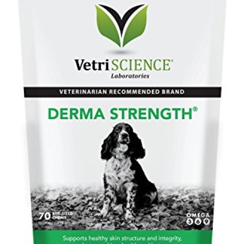 VETRISCIENCE Laboratories Derma Strength for Dogs, 70 Soft Chews ...