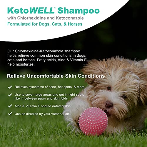 VetWELL Ketoconazole Chlorhexidine Shampoo for Dogs & Cats - Medi...