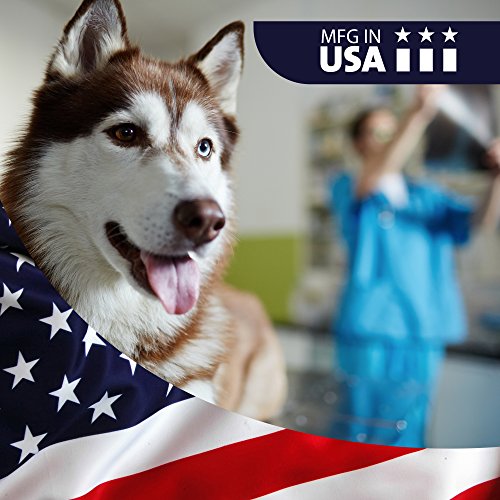 VetWELL Ketoconazole Chlorhexidine Shampoo for Dogs & Cats - Medi...