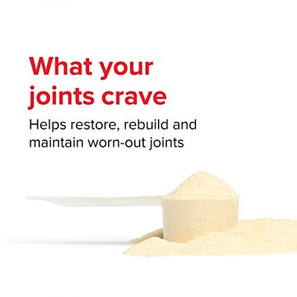 Vibrant Health, Joint Vibrance, Comprehensive Joint and Cartilage...