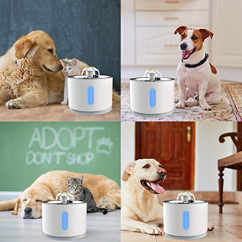 VINSIC Cat Water Fountain, Pet Fountain 80oz/2.4L Large Capacity ...