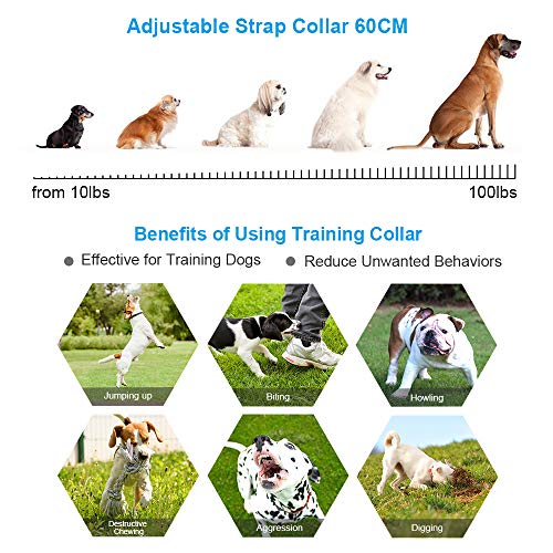 VINSIC Dog Shock Collars with Remote for 2 Dogs, Rainproof Dog Tr...