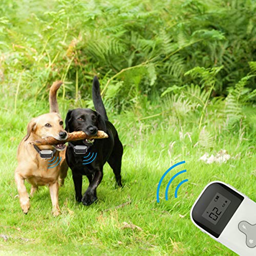 VINSIC Dog Shock Collars with Remote for 2 Dogs, Rainproof Dog Tr...