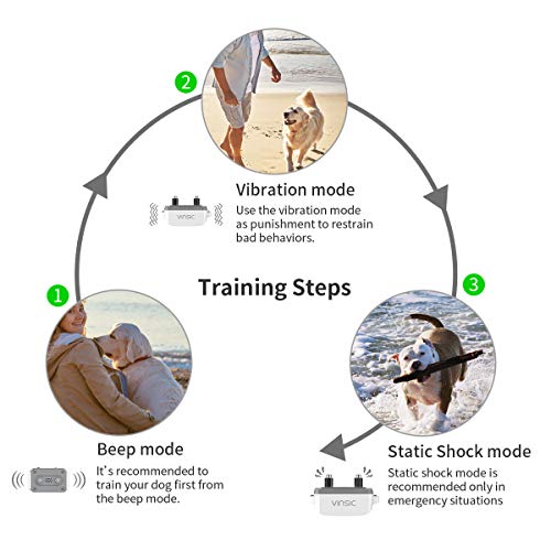 VINSIC Dog Shock Collars with Remote for 2 Dogs, Rainproof Dog Tr...