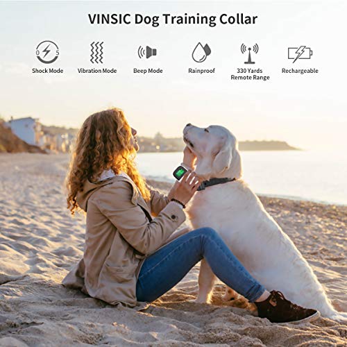 VINSIC Dog Shock Collars with Remote for 2 Dogs, Rainproof Dog Tr...